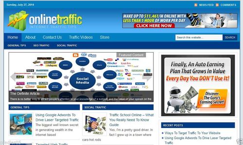 Product picture Established ONLINE TRAFFIC Turnkey Niche Websit